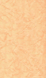 shelk-persikoviy 180x300 pc