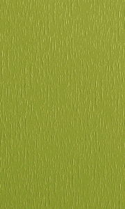 souz-01-zelenij 180x300 pc