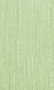souz-10-zeleniy 180x300 pc